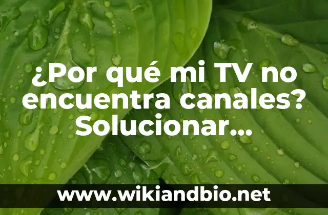 Problemas de recepción de señal de TV: Causas comunes