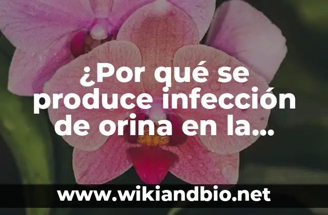¿Por qué se produce infección de orina en la mujer? Una guía completa