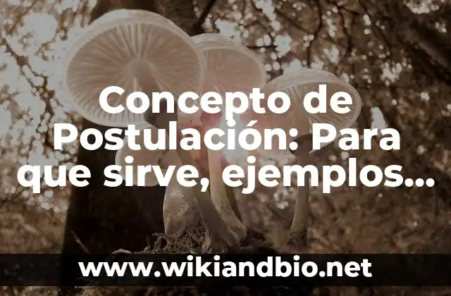 Concepto de Postulación: Para que sirve, ejemplos y autores