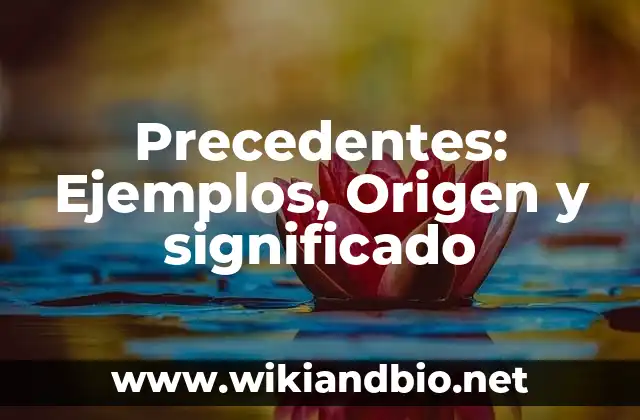 Precedentes: Ejemplos, Origen y significado