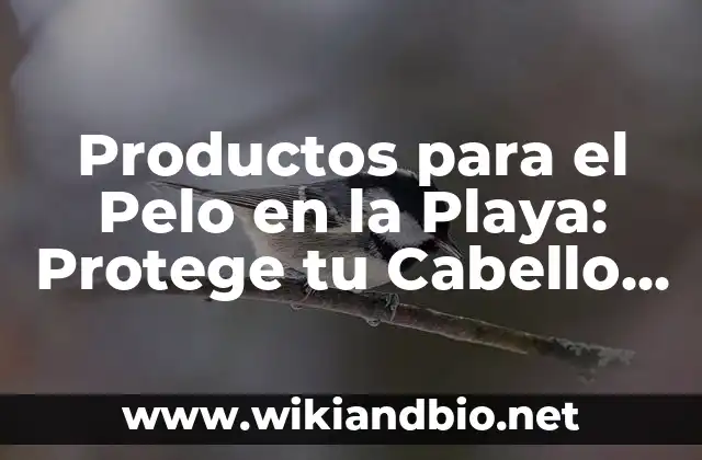¿Por qué es Importante Proteger tu Cabello en la Playa?