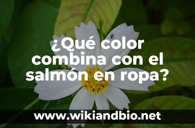 ¿Qué color combina con el salmón en ropa?