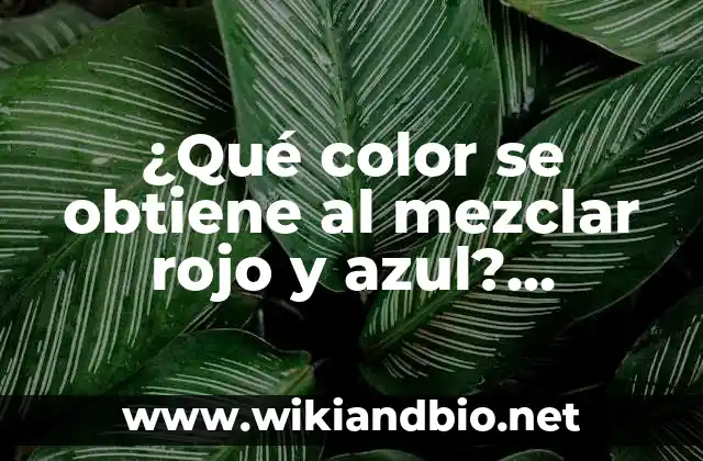 La teoría del color y la importancia de los colores primarios