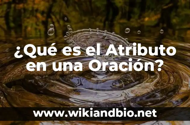 ¿Qué es el Atributo en una Oración?