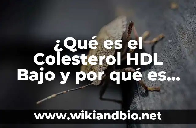 ¿Qué es el Colesterol HDL Bajo y por qué es Importante?