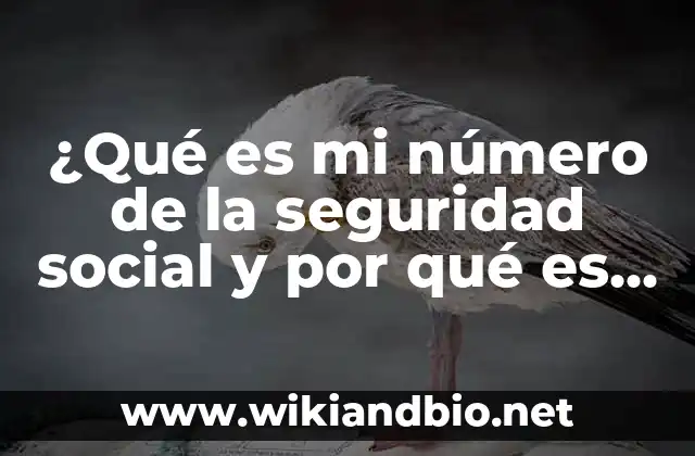 ¿Qué es el número de la seguridad social y cómo se utiliza?