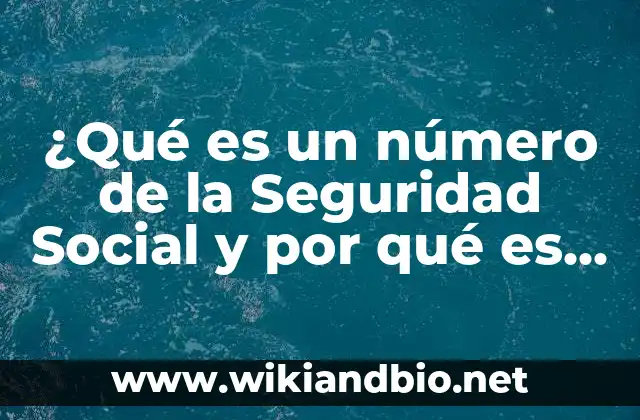¿Qué es un número de la Seguridad Social y por qué es importante?