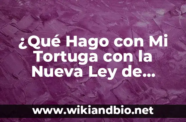 ¿Qué Hago con Mi Tortuga con la Nueva Ley de Protección de Animales?