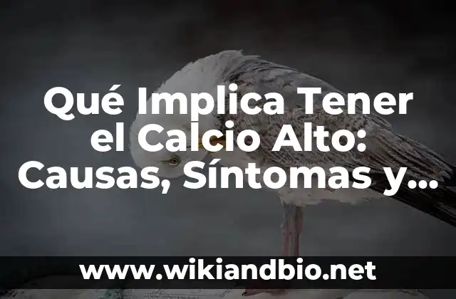 Qué Implica Tener el Calcio Alto: Causas, Síntomas y Tratamiento