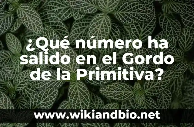 Historia de la Lotería del Gordo de la Primitiva