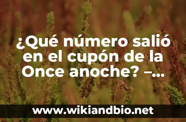Cómo jugar a la lotería de la Once