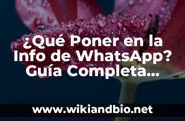 ¿Qué Poner en la Info de WhatsApp? Guía Completa para Tu Perfil