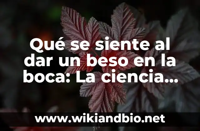 Qué se siente al dar un beso en la boca: La ciencia detrás de la emoción