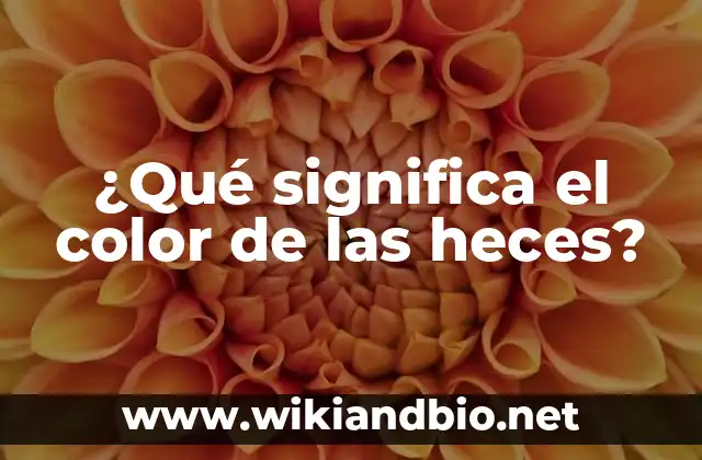 ¿Qué significa el color de las heces?