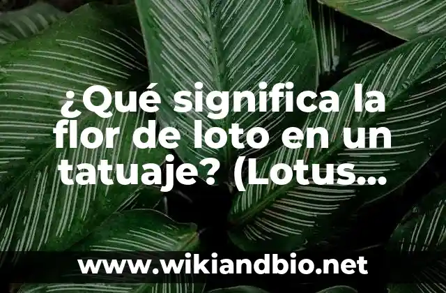 Orígenes y simbolismo de la flor de loto