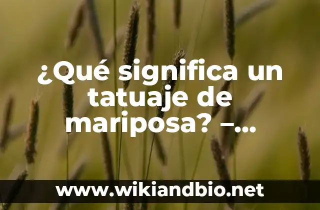 ¿Qué significa un tatuaje de mariposa? – Simbolismo y Significado