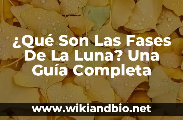 ¿Qué Son Las Fases De La Luna? Una Guía Completa