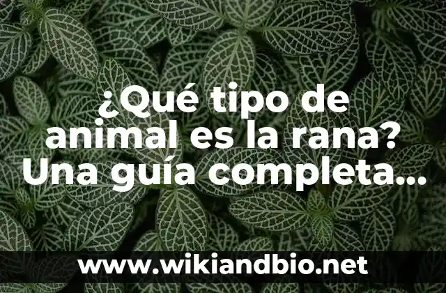 ¿Qué tipo de animal es la rana? Una guía completa sobre la biología y características de las ranas