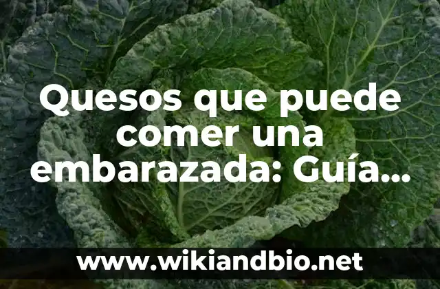 Quesos que puede comer una embarazada: Guía detallada y segura