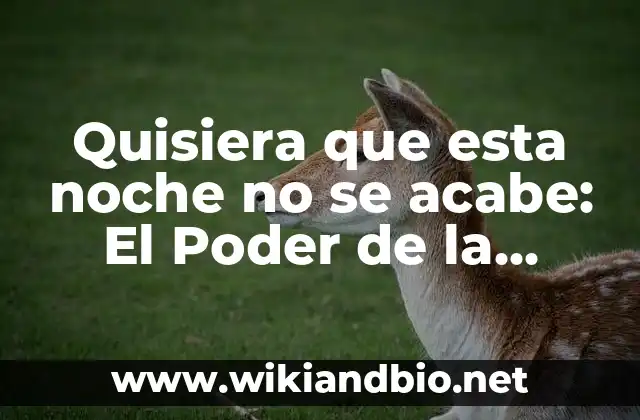 Quisiera que esta noche no se acabe: El Poder de la Noche y la Música