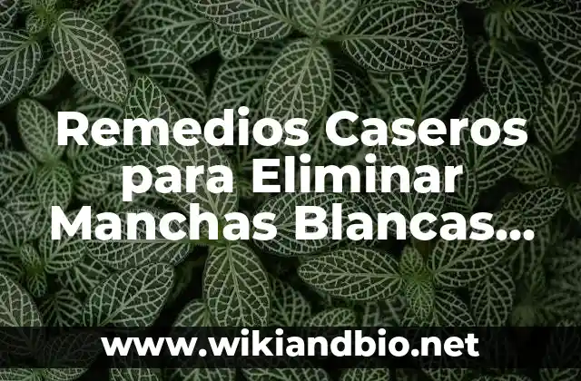 Causas de las Manchas Blancas en la Piel por el Sol