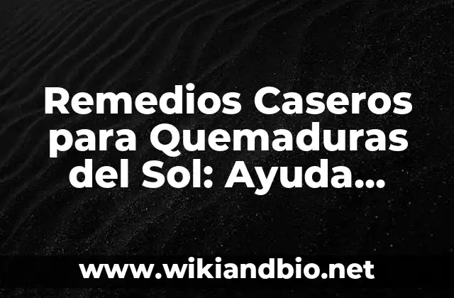 Remedios Caseros para Quemaduras del Sol: Ayuda Natural para Aliviar el Dolor