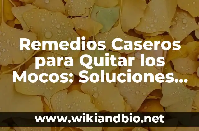 Remedios Caseros para Quitar los Mocos: Soluciones Naturales y Efectivas