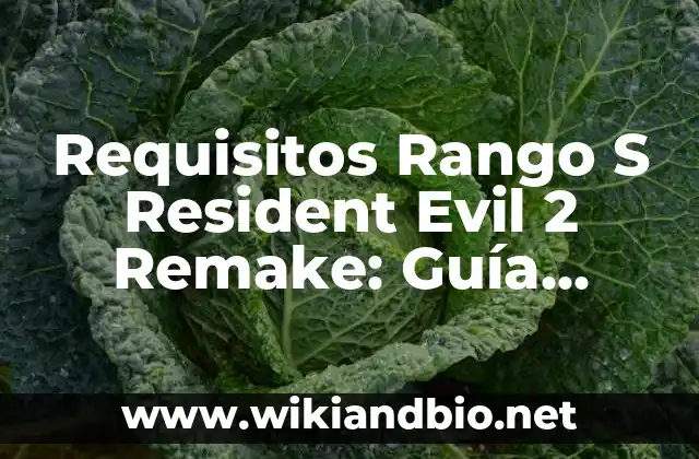 Requisitos Rango S Resident Evil 2 Remake: Guía Completa
