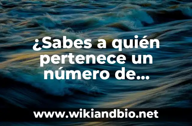 ¿Por qué es importante saber a quién pertenece un número de teléfono?