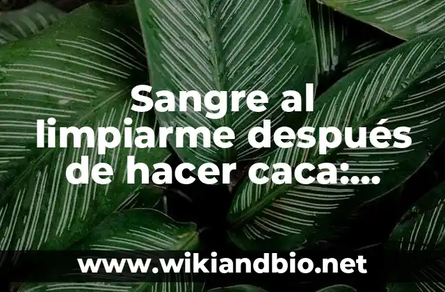 ¿Qué causa la sangre al limpiarme después de hacer caca?