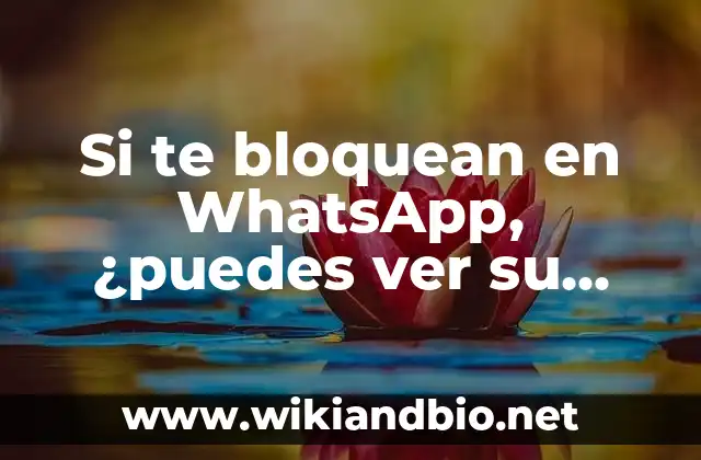 Si te bloquean en WhatsApp, ¿puedes ver su estado?
