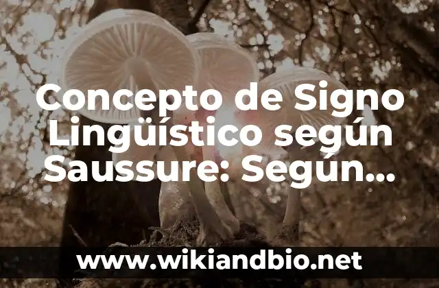 Concepto de Signo Lingüístico según Saussure: Según Autores, Ejemplos