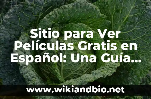 Sitio para Ver Películas Gratis en Español: Una Guía Completa