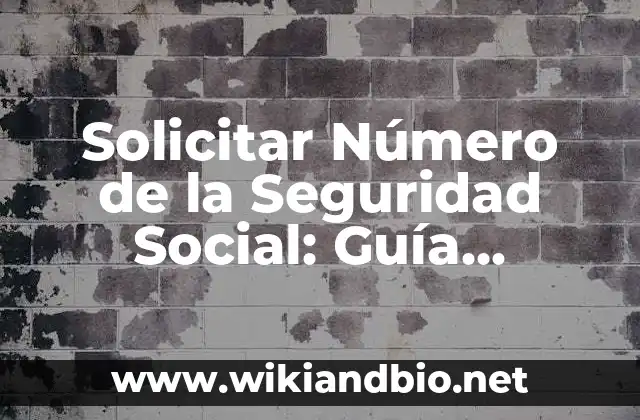 ¿Qué es un Número de la Seguridad Social?