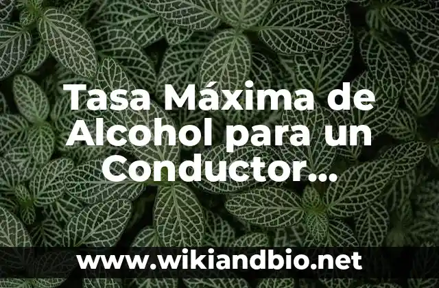 Tasa Máxima de Alcohol para un Conductor Profesional: Guía Completa