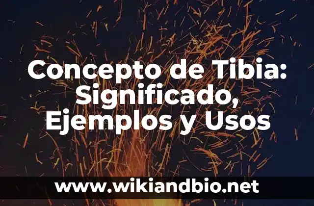 Concepto de Tibia: Significado, Ejemplos y Usos