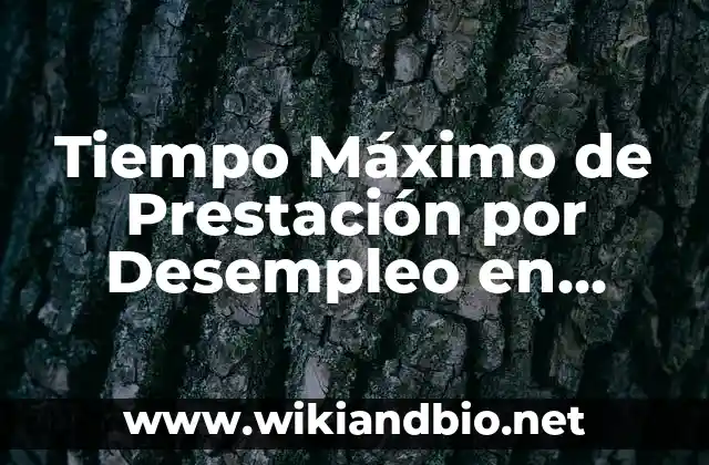 Tiempo Máximo de Prestación por Desempleo en España: Guía Completa